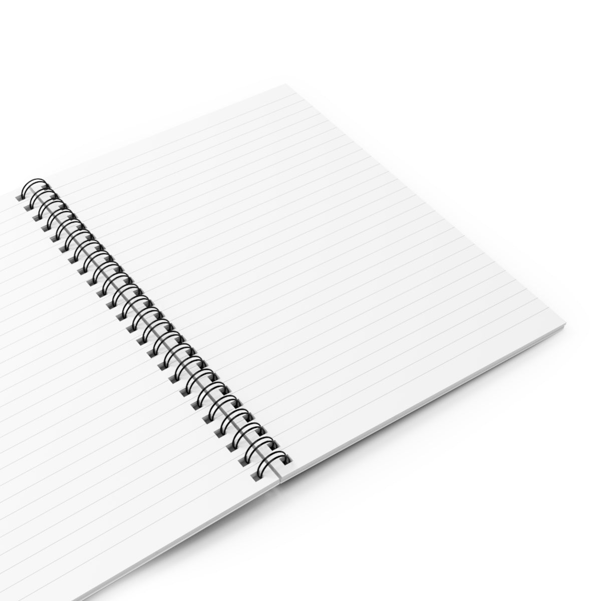Substitute Teacher Field Notes Notebook, Funny Sub Teacher Gift, Substitute Teacher Appreciation Gift